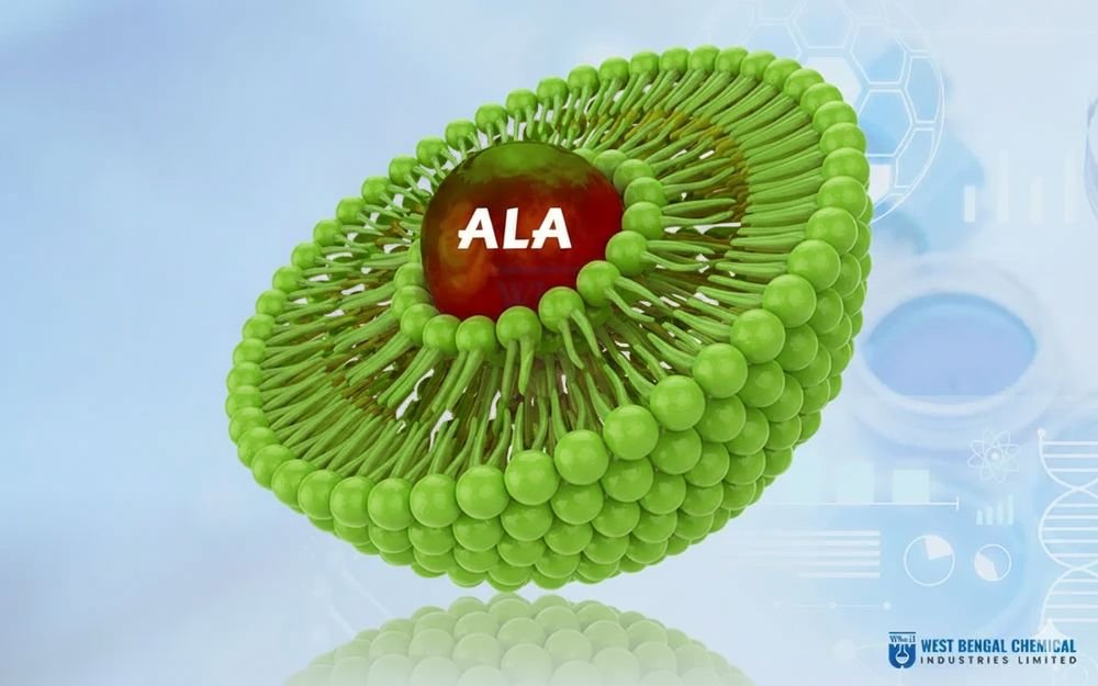 Liposomal Alpha Lipoic Acid