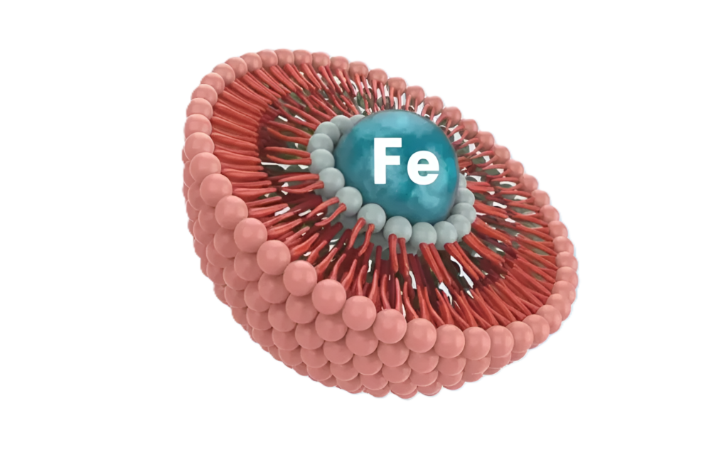 Liposomal Iron