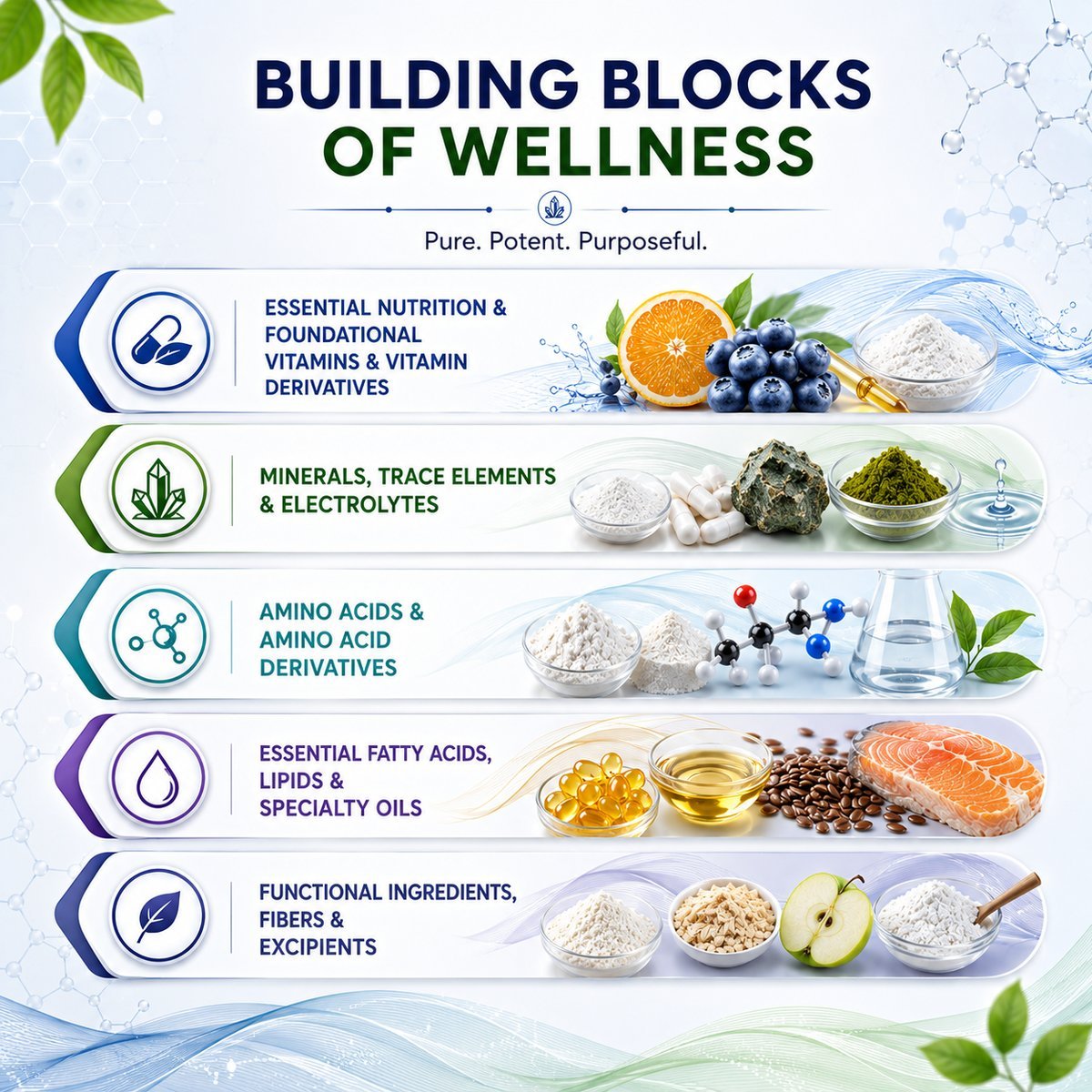 Essential Nutrition & Foundational