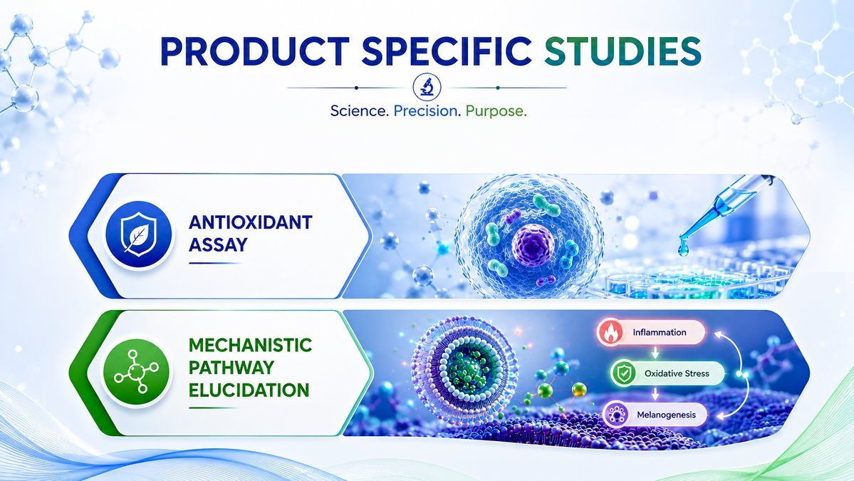 Product Specific Studies - LipoEdge