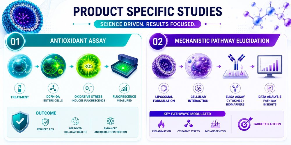 product specific studies in vitro biological