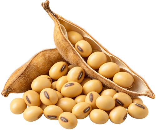 Soya Lecithin - LipoEdge